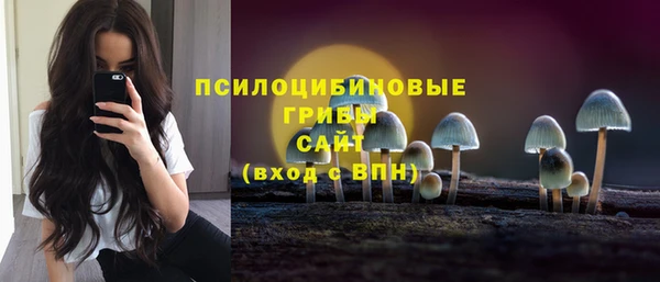 МДПВ Михайловск