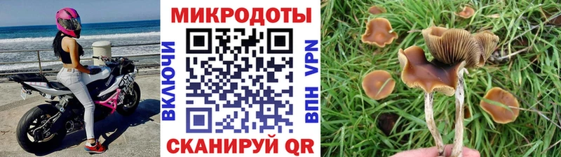Псилоцибиновые грибы ЛСД  Купить закладки  Данилов 